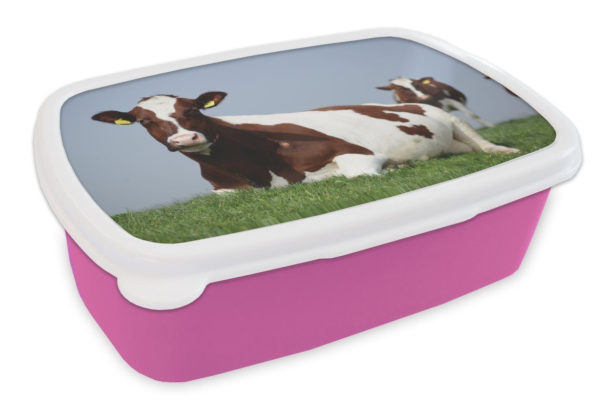 MuchoWow Lunchbox Kühe - Gras - Friesland, Kunststoff, (2-tlg), Brotbox für Erwachsene, Brotdose Kinder, Snackbox, Mädchen, Kunststoff rosa