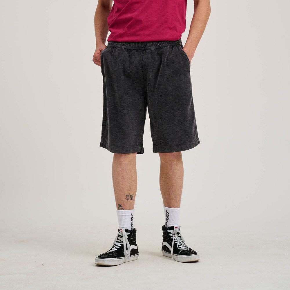 Santa Cruz Shorts Chill Shorts