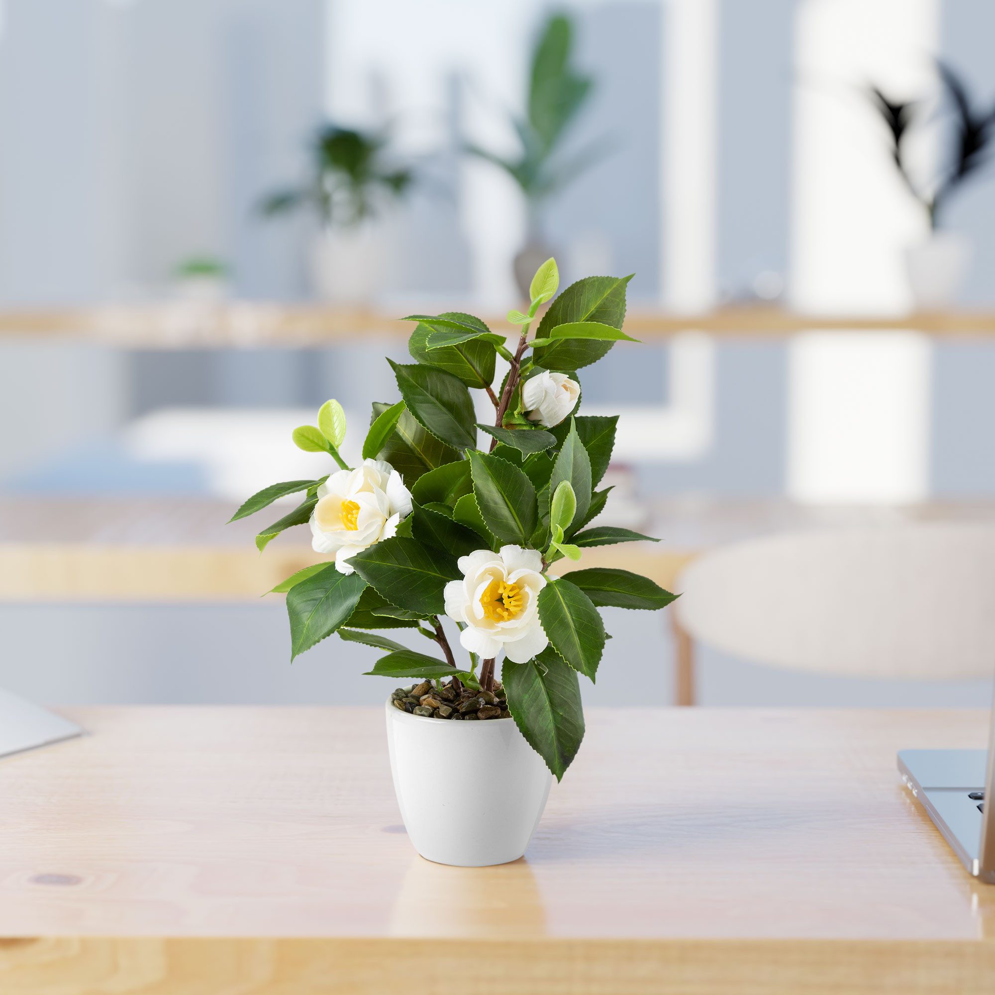 Kunstblume Kunstblumen im Topf, Künstliche Blumen wie echt, Deko Blumen Geranie, Kamelie, Orchidee, Azalee, Veilchen, PASCH, Hochwertiger Keramiktopf