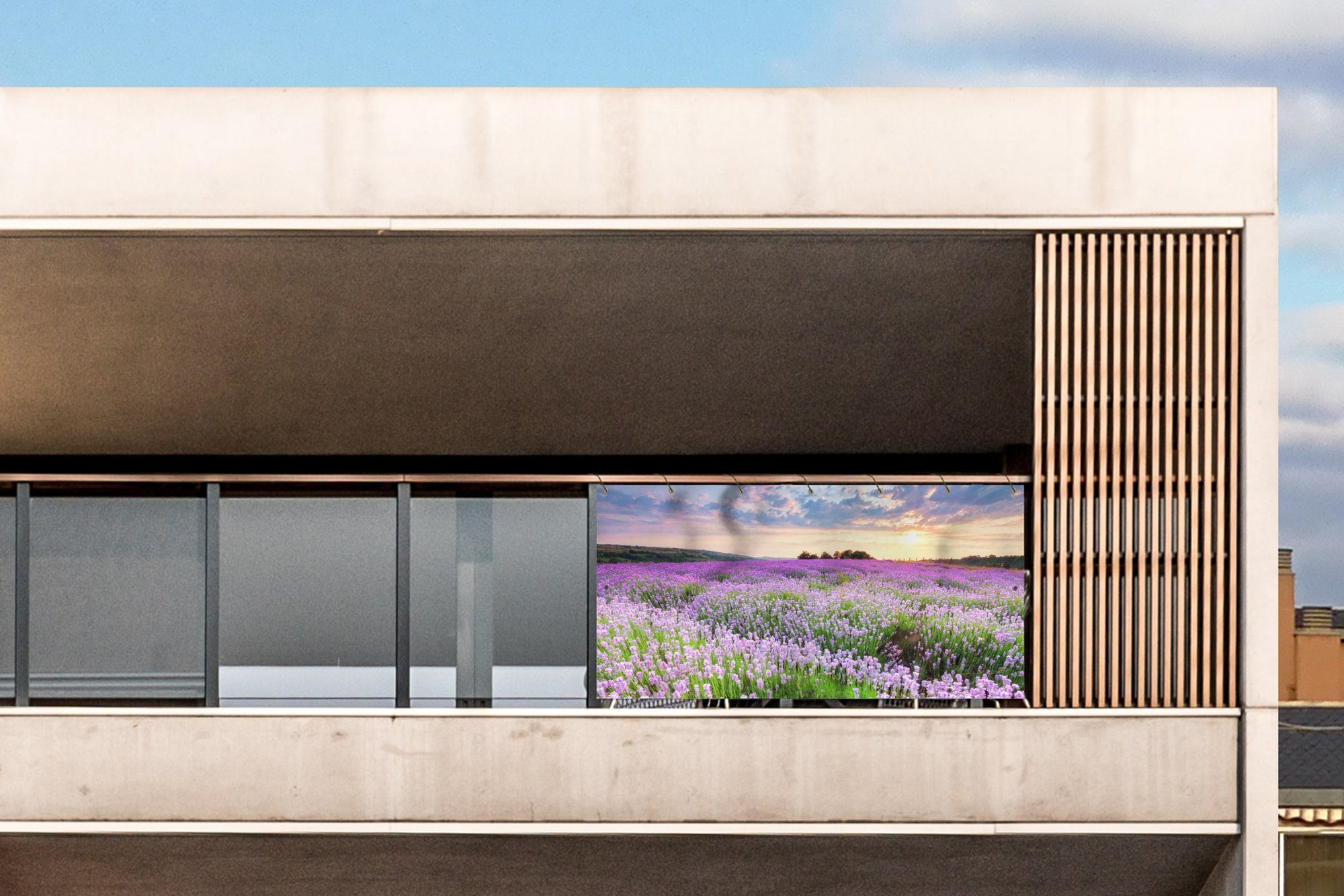 MuchoWow Balkonsichtschutz Blumen - Lavendel - günstig online kaufen