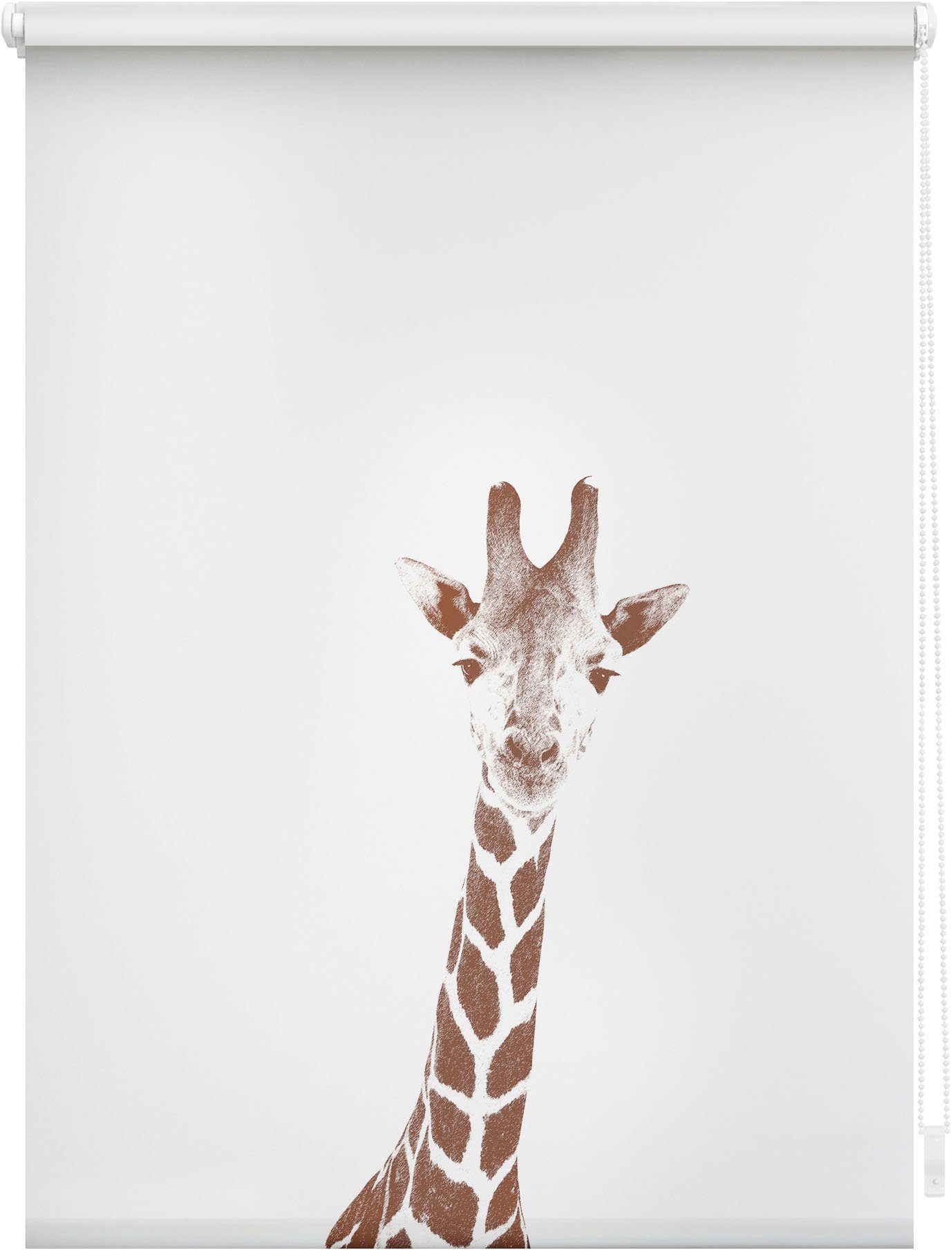 Rollo Seitenzugrollo freihängend, Giraffe ORIGINAL, Braun, - LICHTBLICK blickdicht, blickdicht, ohne Klemmfix Bohren, Klemmfix,