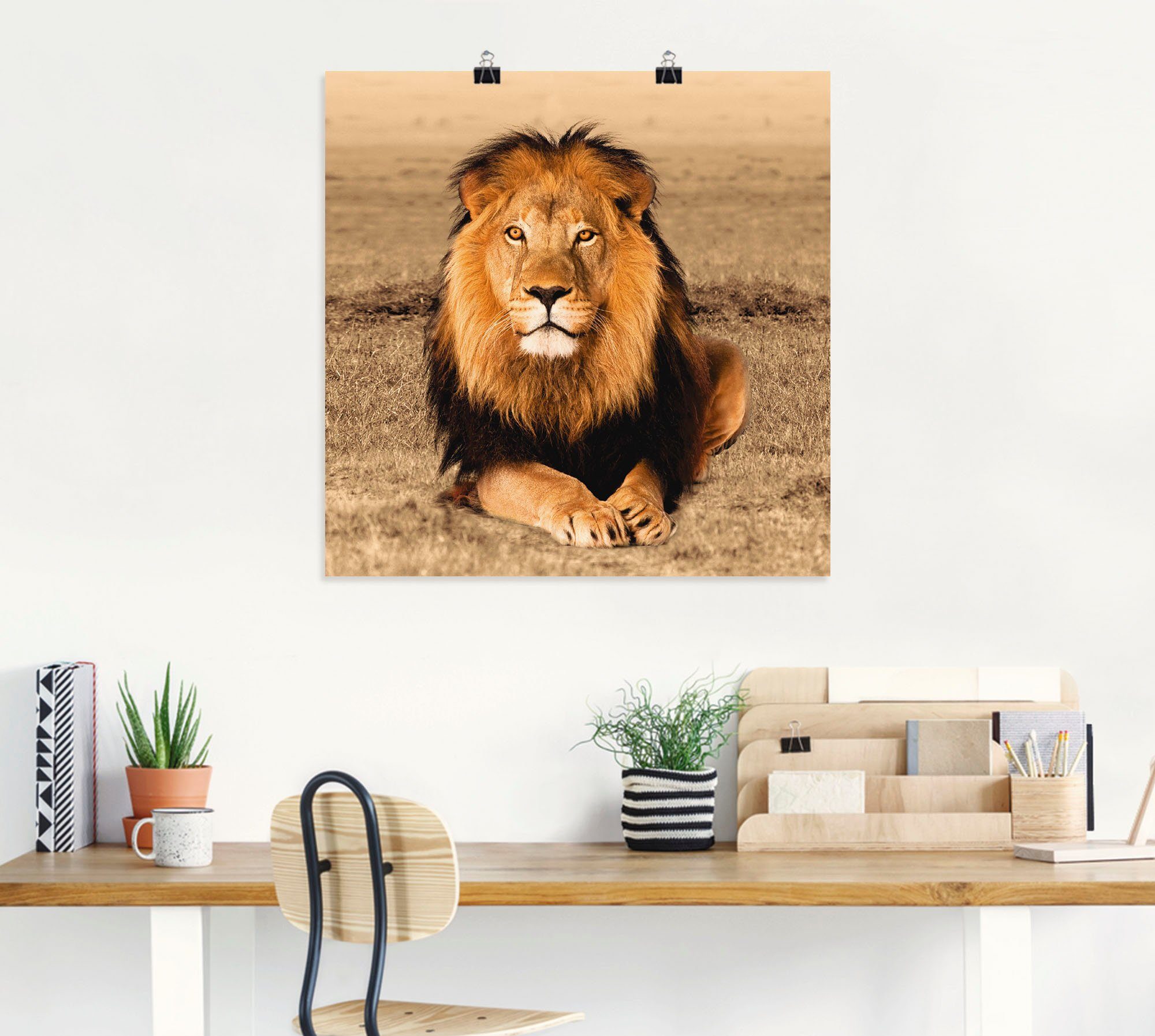 Wandbild Größen Leinwandbild, als oder in Artland Poster versch. Löwe, Wandaufkleber Wildtiere (1 Alubild, St),