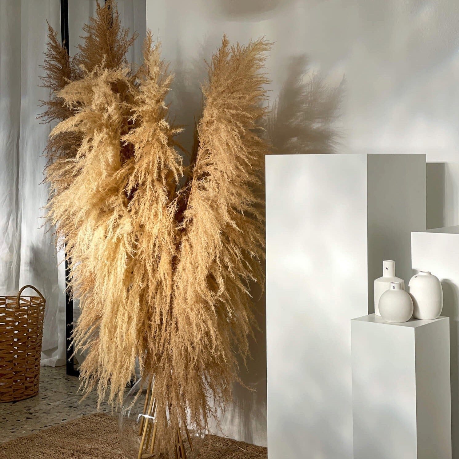 Trockenblume Pampasgras XL: Zeitlose Eleganz für Dein Zuhause, LYKKE & You, Höhe 115 cm