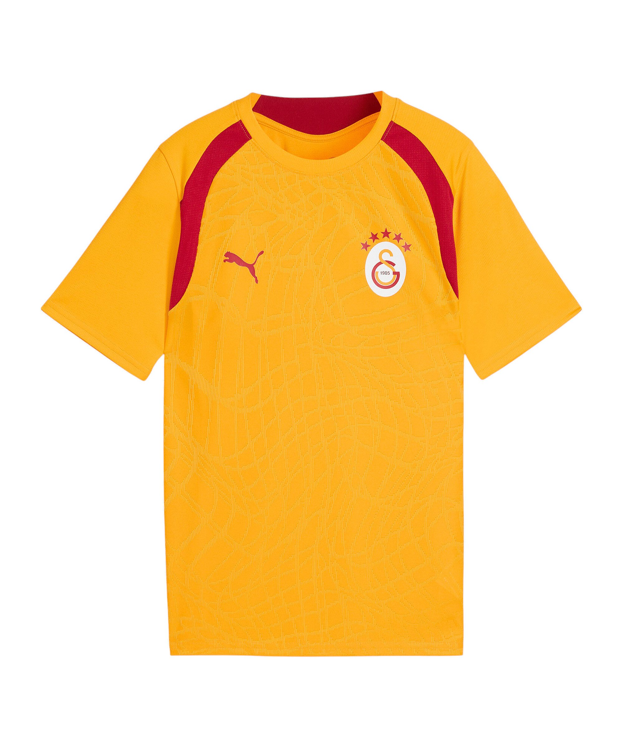 PUMA Fußballtrikot PUMA Galatasaray Istanbul Training Trikot Kids Teamsport