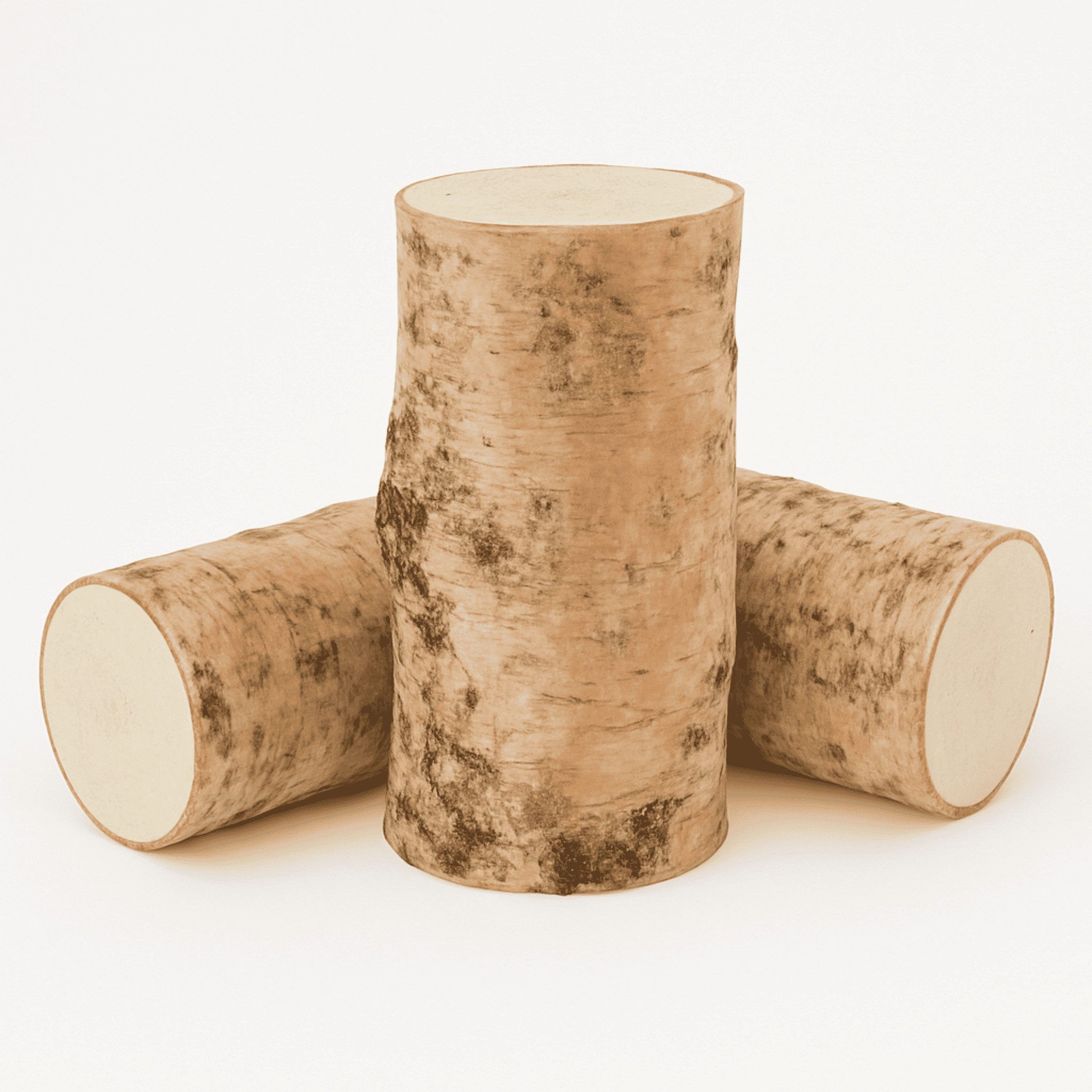 matches21 HOME & HOBBY Bilderrahmen Runde Birkenstämmchen 5 x 10 cm als Holz-Deko Bastel-Holz, (3 St), Kleine Birken-Holz Baumstämme für Basteln und Dekorieren