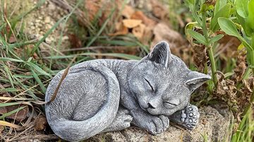 Stone and Style Gartenfigur Steinfigur Katze Kater Paule