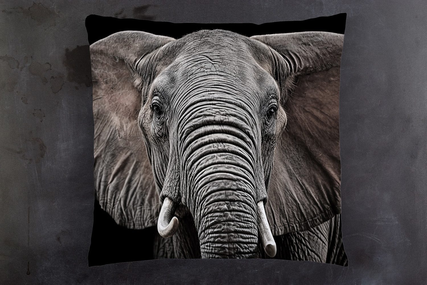 queence Dekokissen Elefant, Kissenhülle mit HD Premium Druck, geruchsneutral, 40x40cm