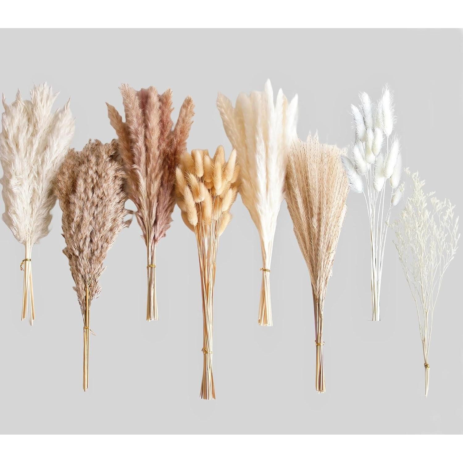 Trockenblume Pampasgras Bouquet Trockenblumen Bunny Tails Boho 128 Stück 128pcs-A, LuxusKollektion
