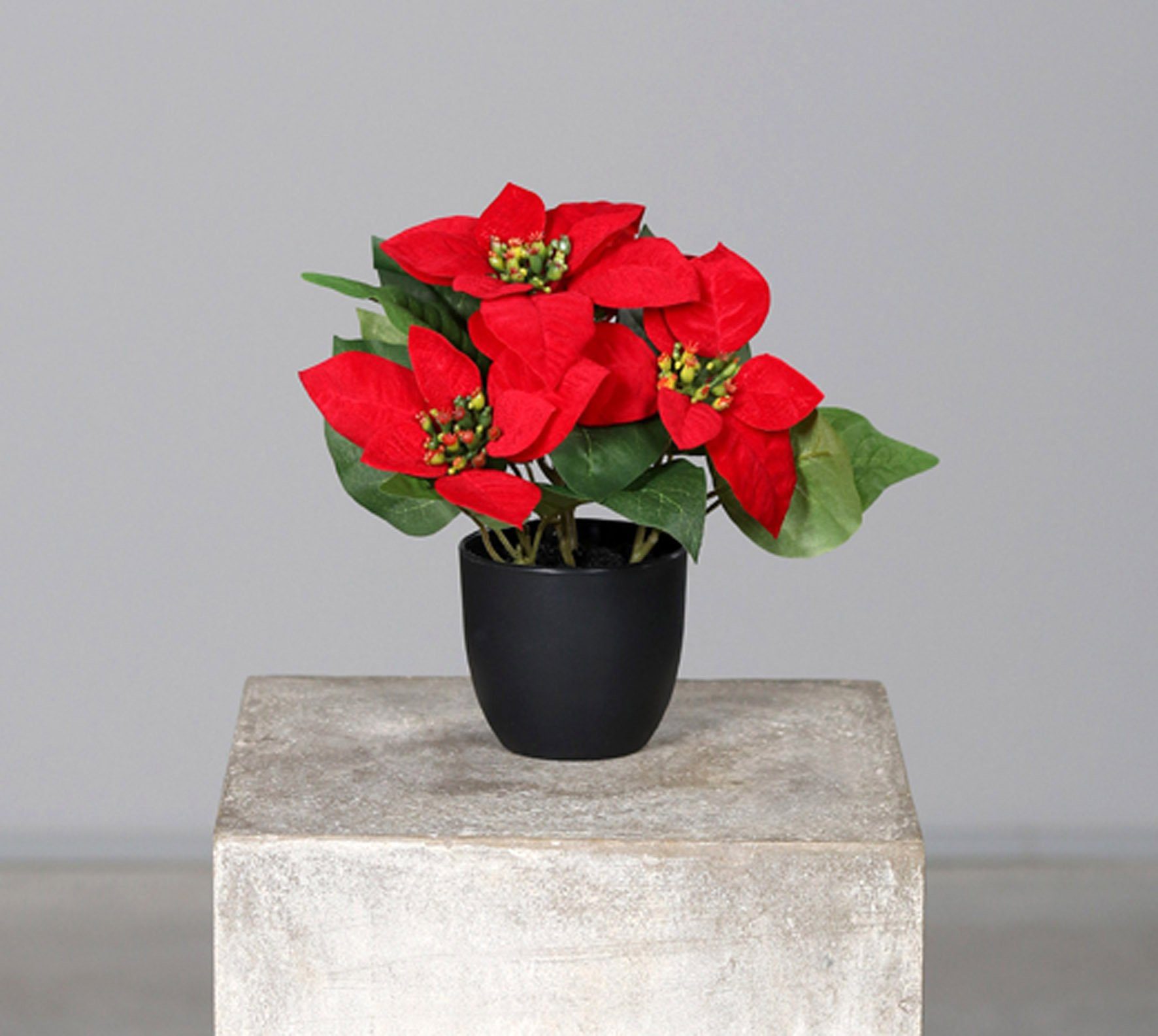 Kunstpflanze Künstlicher Winterliche 22 Poinsettia, klein in Höhe Spetebo, cm, Blumentopf im Nachbildung Poinsettia naturgetreuer Weihnachtsstern
