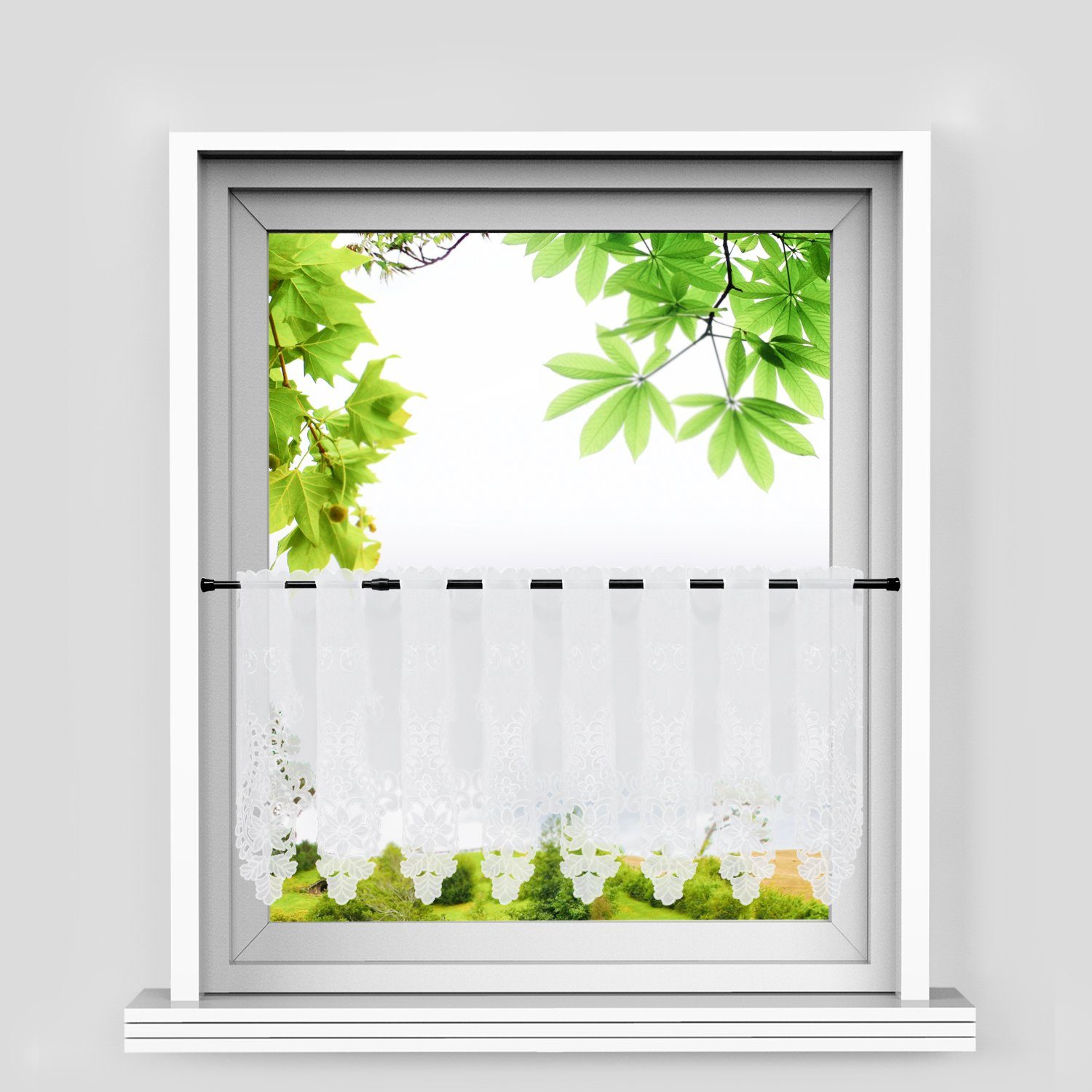 Joyswahl Scheibengardine (1 St), Stangendurchzug, transparent, günstig online kaufen