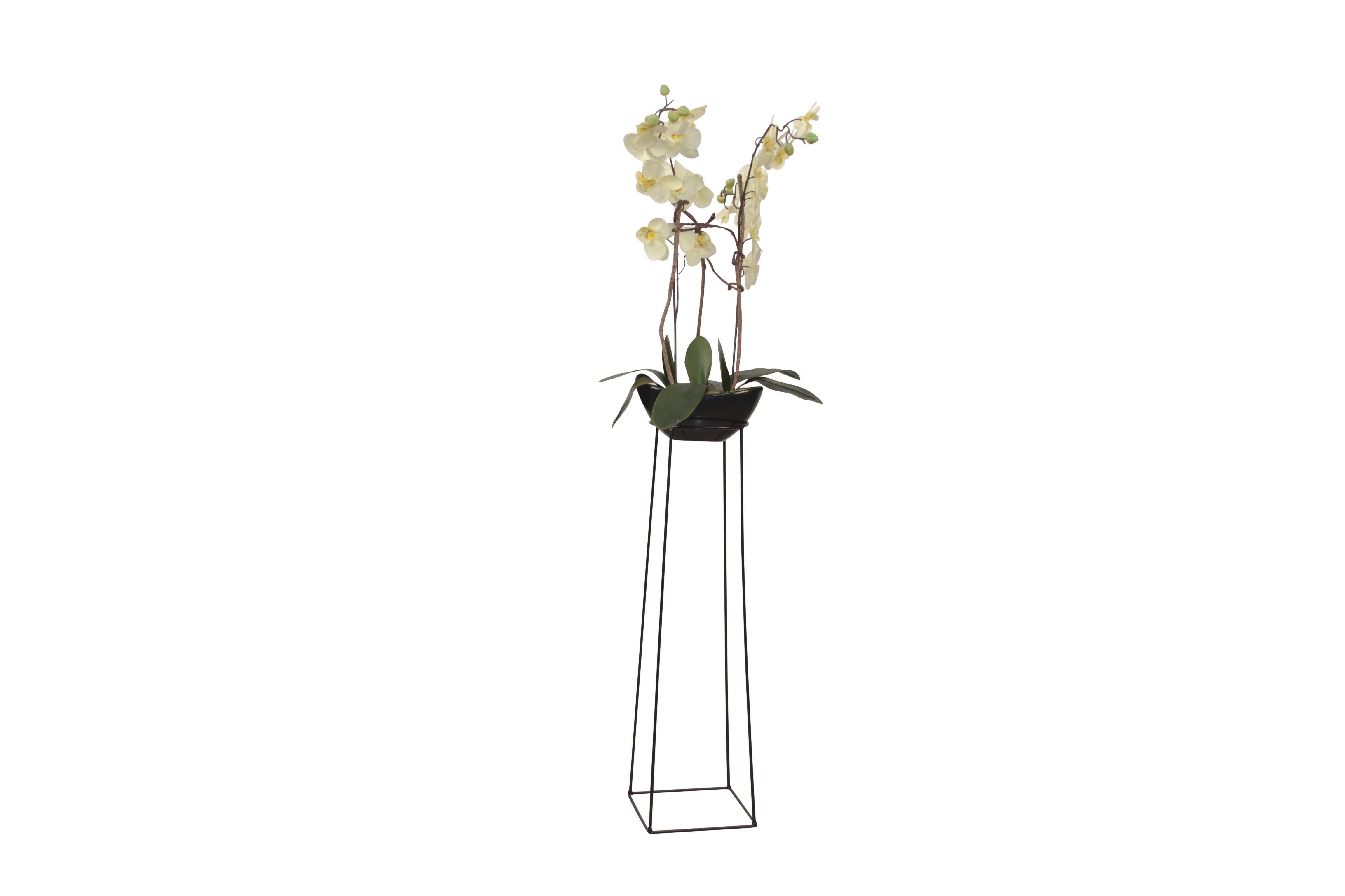 moebel-direkt-online Blumenständer Heidi (Höhe 72 cm), aus Eisen