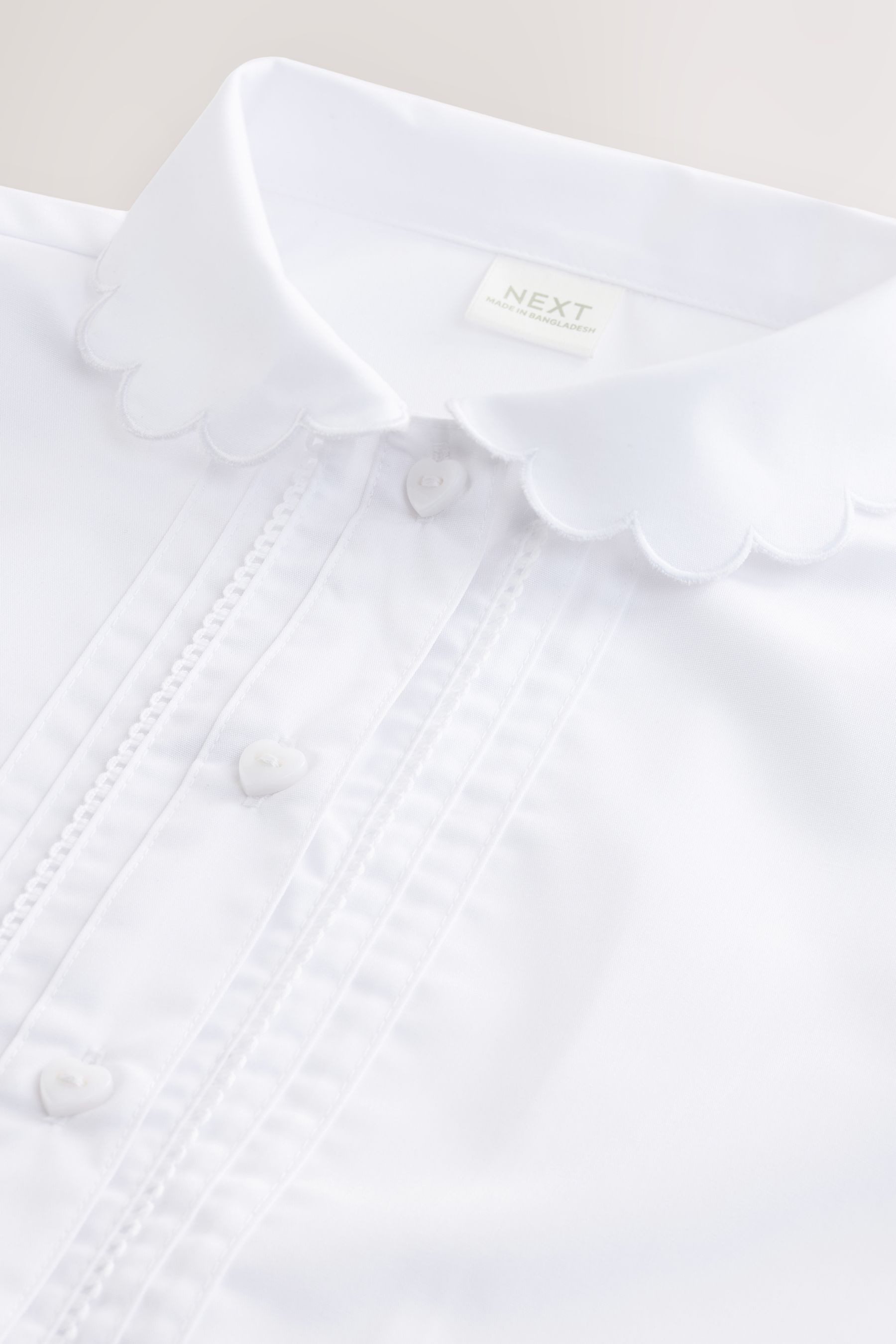 Next Kurzarmbluse Bluse mit Bogenkantenkragen (1-tlg)