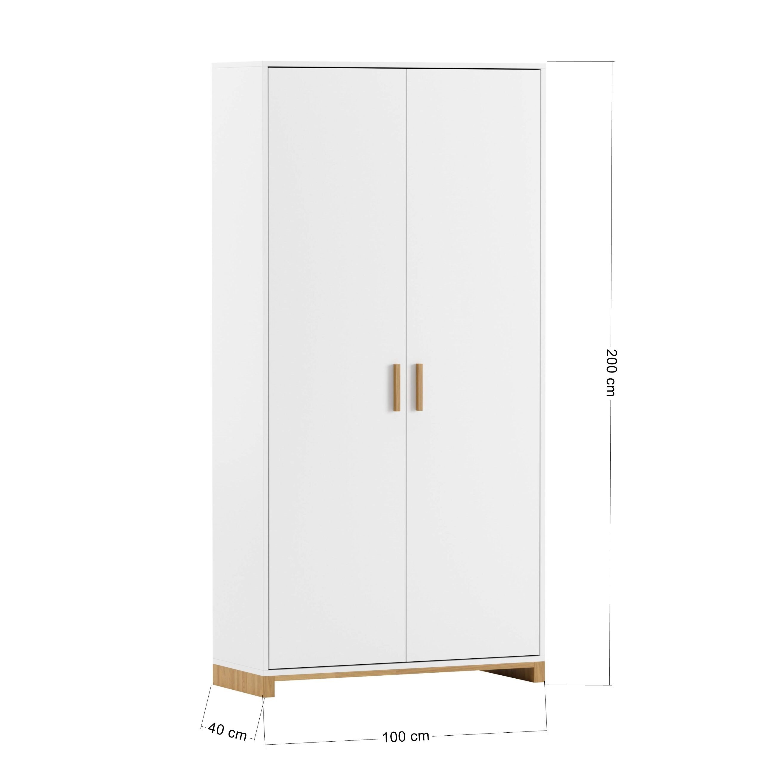 Deerhorn Aktenschrank Moderner Schrank, 2 Türen, Soft-Close Breite: 100 cm, günstig online kaufen