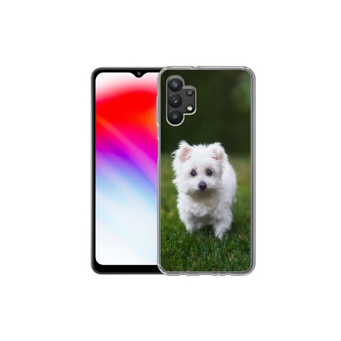 MuchoWow Handyhülle Malteser Hund auf einer Wiese Handyhülle Samsung Galaxy A32 5G Smartphone-Bumper Print Handy UK10092