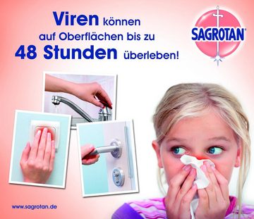 SAGROTAN Hygiene-Pumpspray (10 x 250ml) Oberflächen-Desinfektionsmittel (Spar-Pack, [10-St. antibakterielles Desinfektionsmittel)