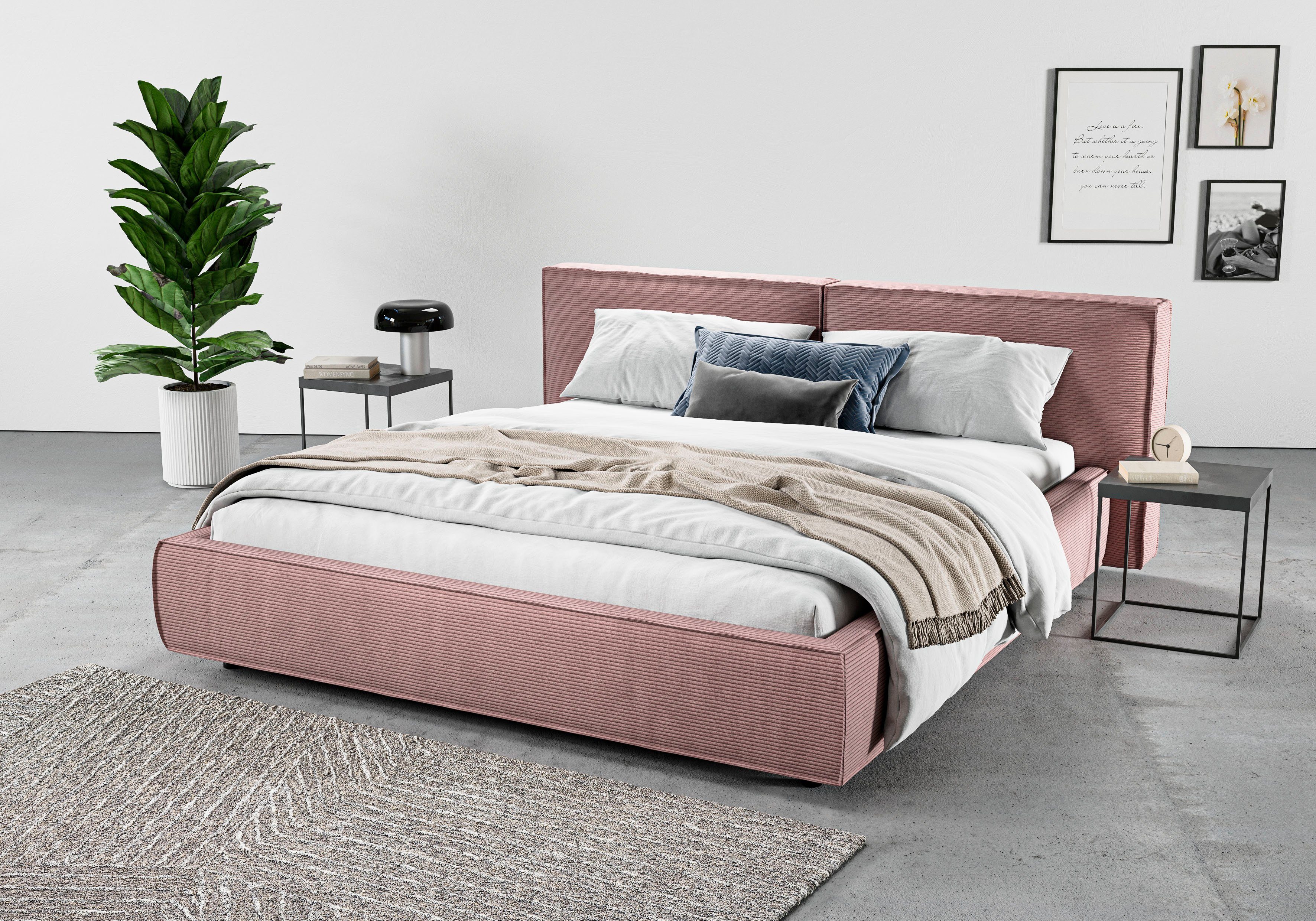 INOSIGN Polsterbett Adrina mit Biesenoptik, Feincord und Luxus-Microfaser, bis 280kg, auch in Überlänge 220 cm, 4 Breiten bis 200cm