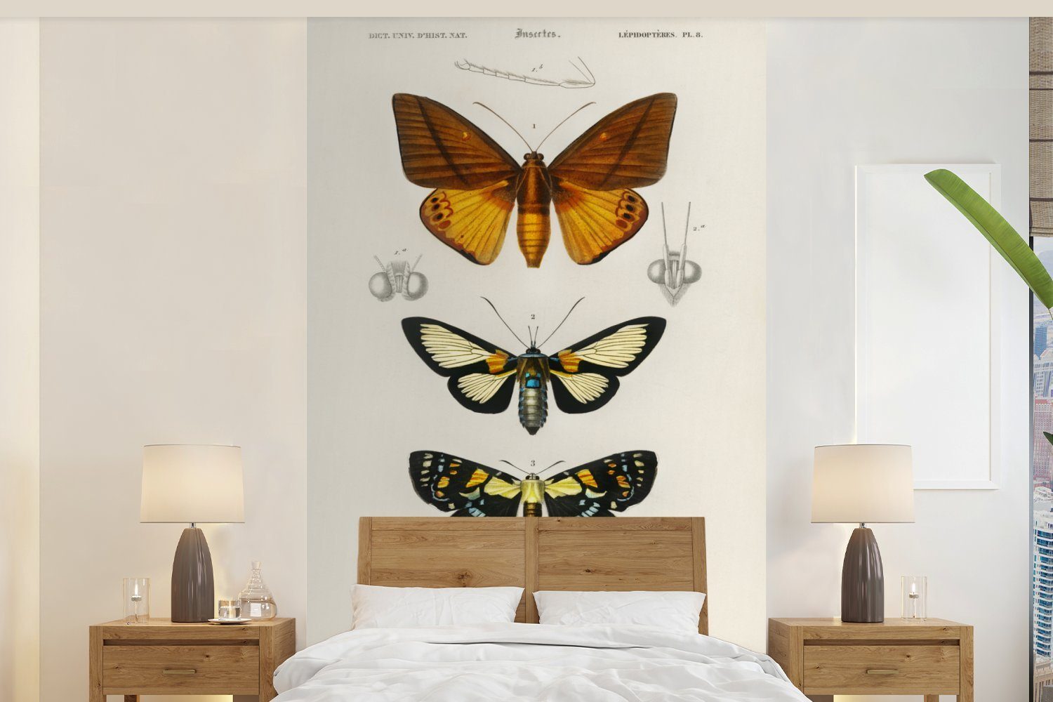 MuchoWow Fototapete Schmetterling - Vintage - Insekten, Matt, bedruckt, (3 St), Wallpaper für Wohnzimmer, Schlafzimmer, Kinderzimmer, Vinyl Tapete