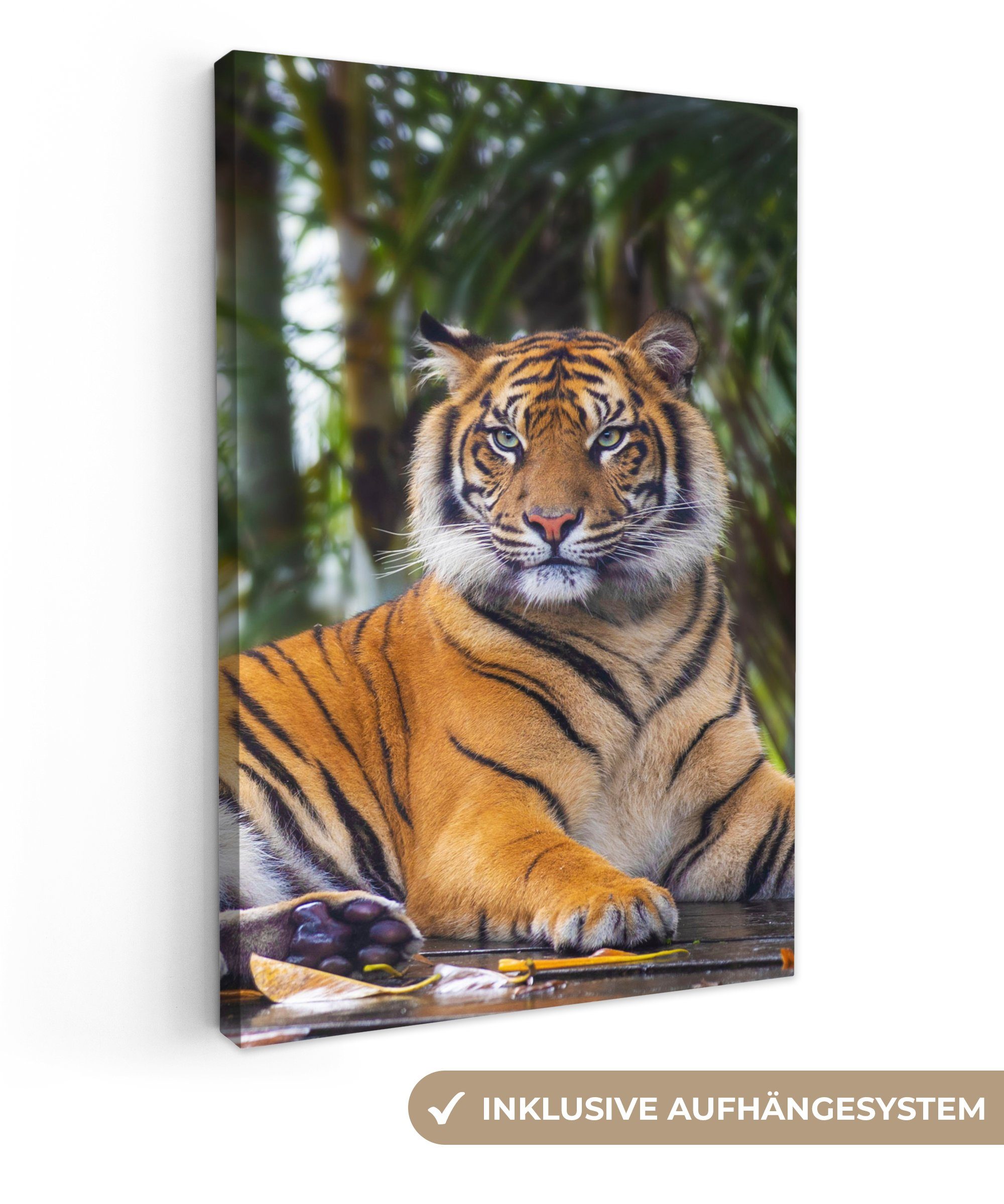 OneMillionCanvasses® Leinwandbild Tiger - Tiere - Wald - Dschungel, Fotodru günstig online kaufen