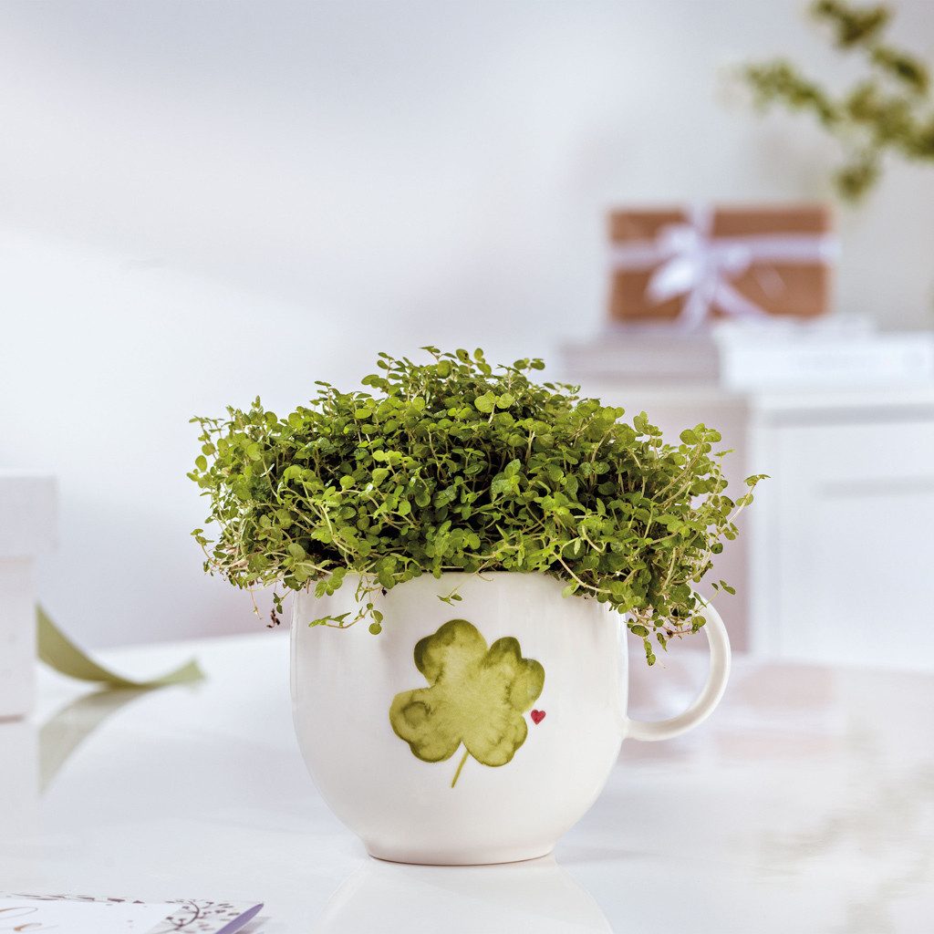 like. by Villeroy & Boch Tasse With Love Henkelbecher Good Luck 290 ml, 1-tlg., Porzellan, Premium Porcelain, mikrow.- & spülm.sicher, Made in Germany