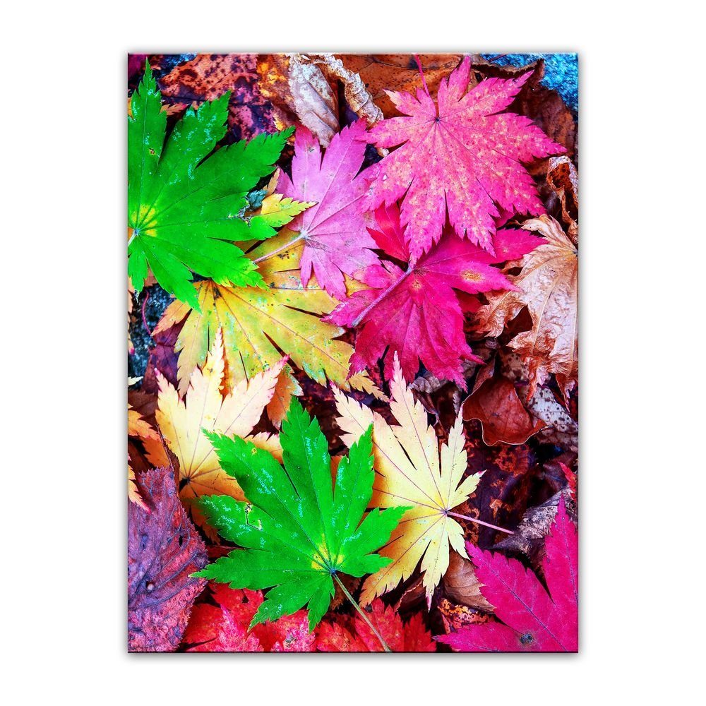 Bilderdepot24 Leinwandbild Bunte Herbstblätter, Pflanzen