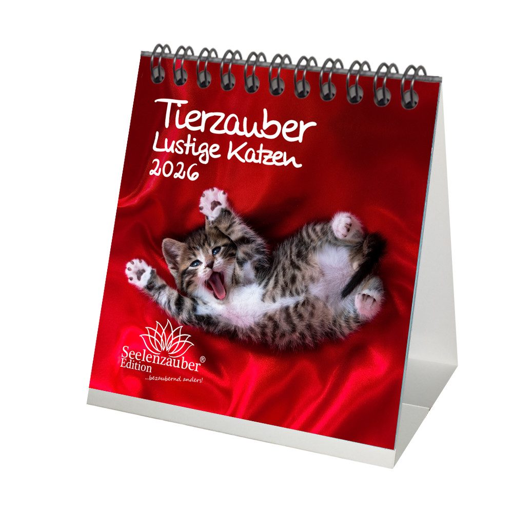 Seelenzauber Tischkalender Tierzauber lustige Katzen Tischkalender 10cm x 10cm für 2026
