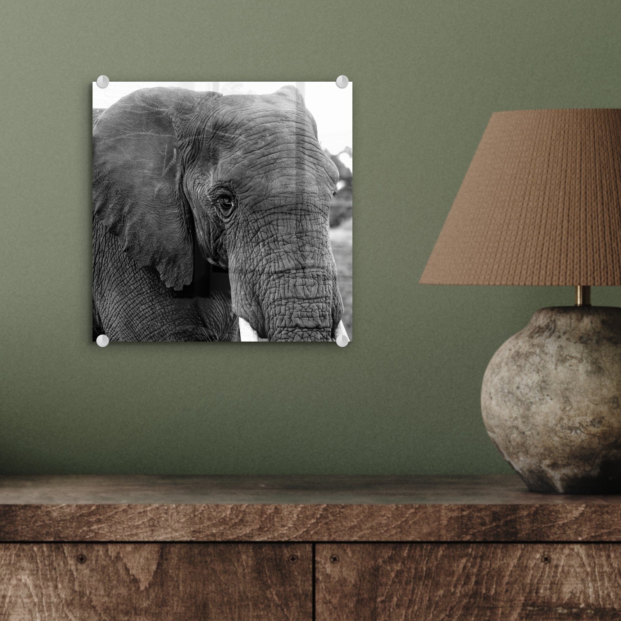 - Acrylglasbild Weiß Schwarz (1 auf St), Elefant MuchoWow Glas - - Tiere auf Natur, Foto - Wanddekoration Bilder Wandbild - - - Glasbilder Glas