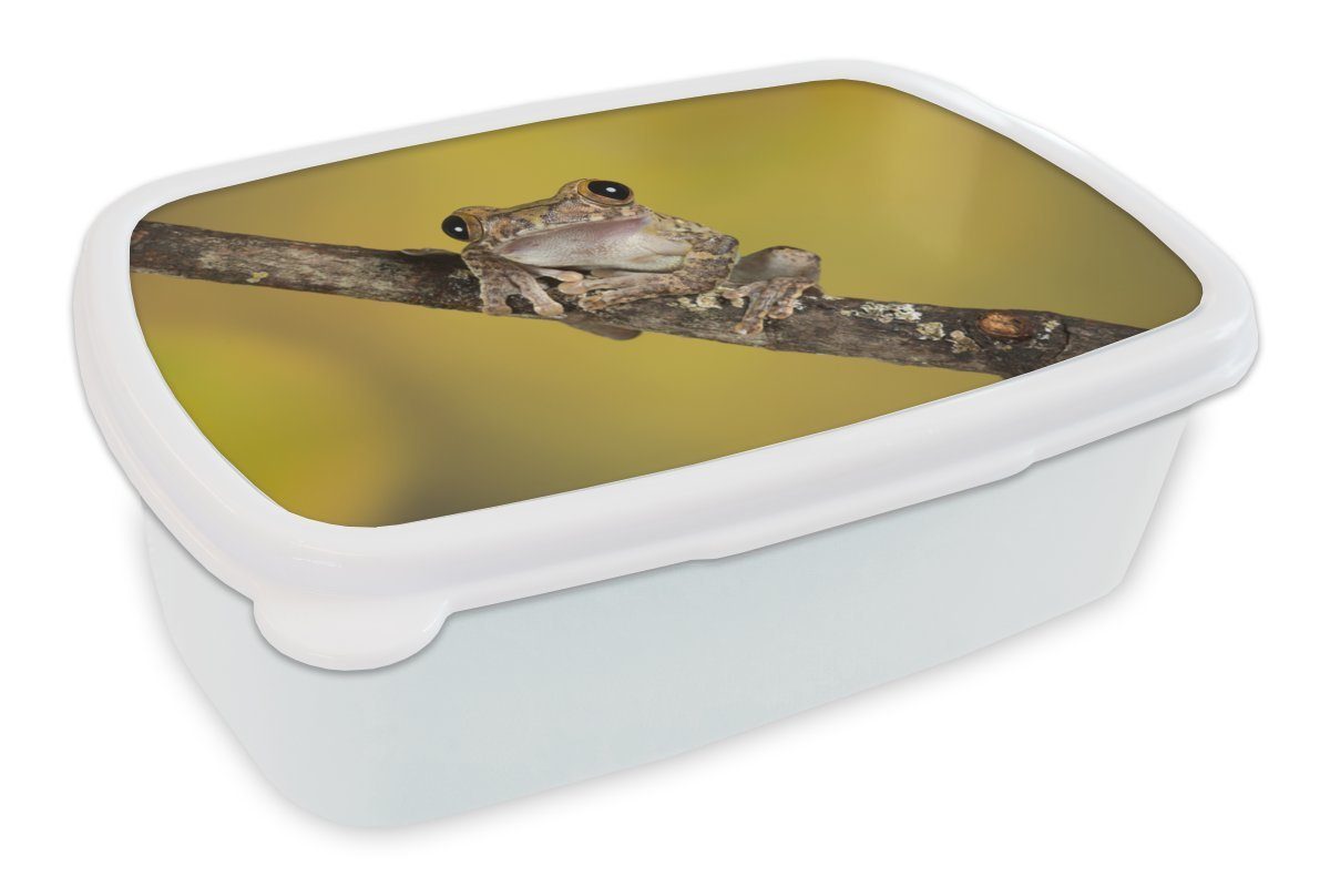 MuchoWow Lunchbox Frosch - Zweig - Gelb, Kunststoff, (2-tlg), Brotbox für Kinder und Erwachsene, Brotdose, für Jungs und Mädchen weiß