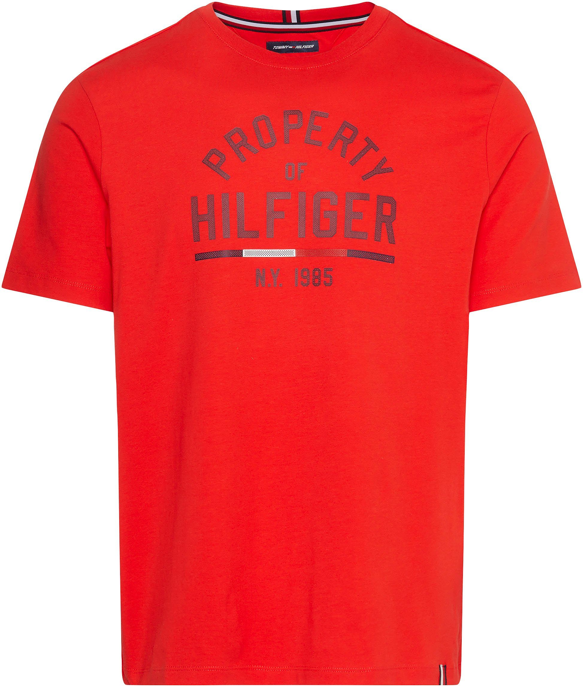 Tommy Hilfiger Sport T-Shirt GRAPHIC TEE Fireworks