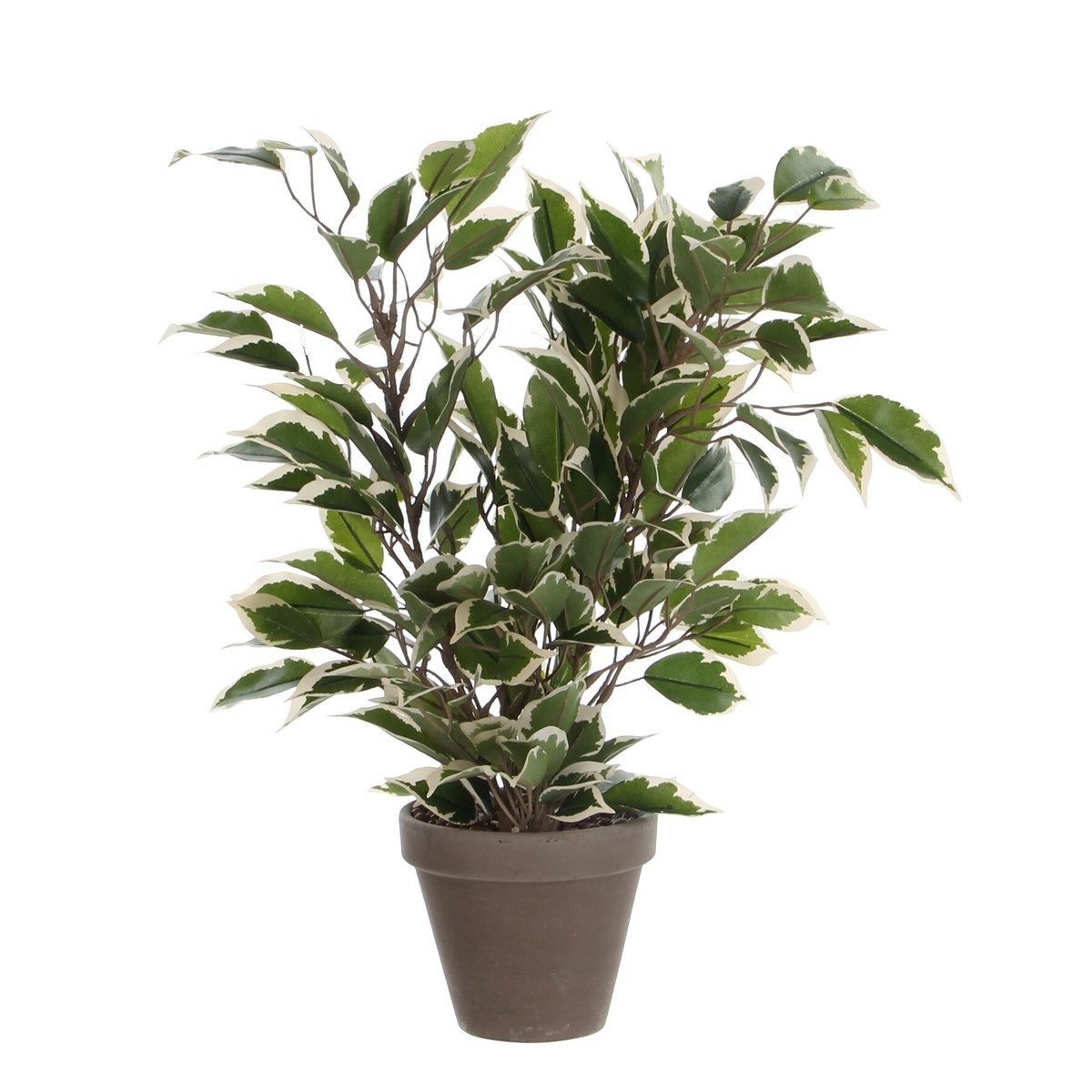 Kunstpflanze Mica Decorations Ficus Natasja gruen bunt in Topf Stan grau d11,5cm -, Mica Decorations, Höhe 40 cm