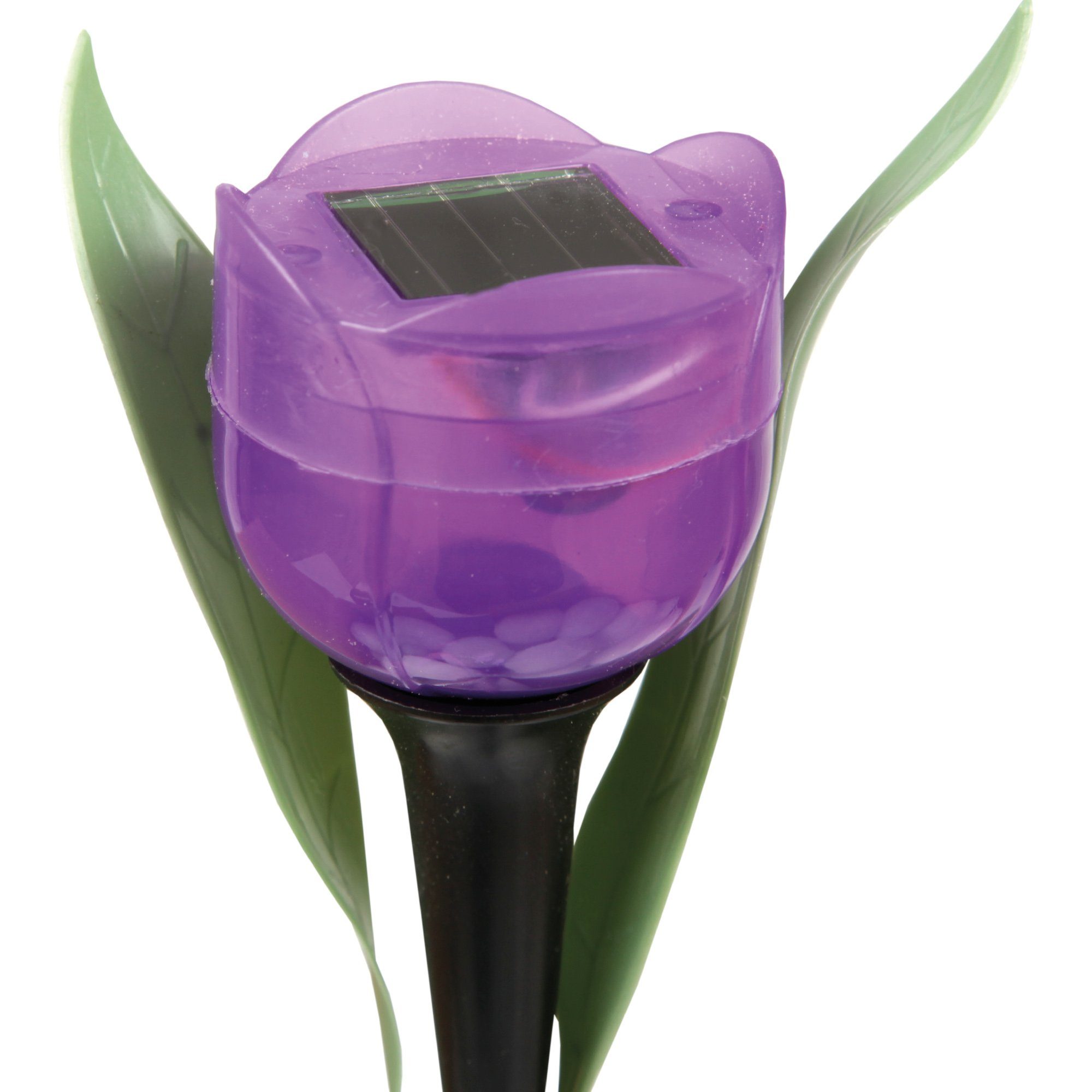 festintegriert, fest Tulpensticks-05011, Gartenlampe(ca. 30cm LED LED Solarlampe, Tageslichtweiß, Solarleuchte integriert, Lila LED Tulpenoptik Bestlivings Höhe)