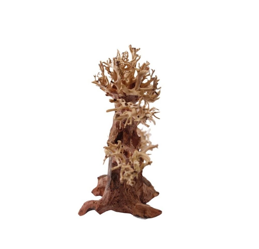 Thumbnail - Aquaone Aquarium M Bonsai Baum Nr.1018 Wurzel Holz Aquarium Deko Aquascaping