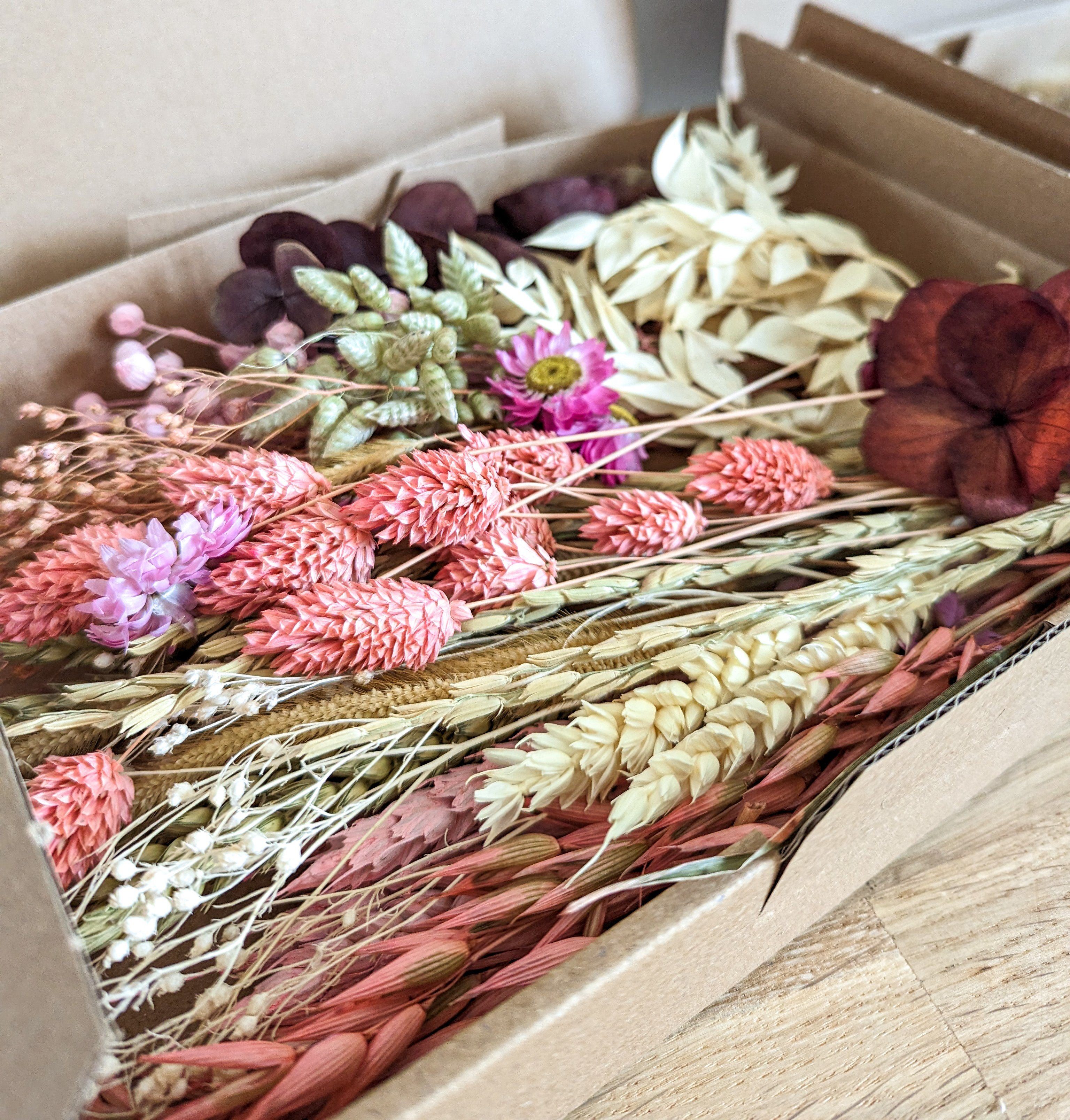 Trockenblume Trockenblumen Deko Mix Box in Rosa Natur für DIY Projekte, DekoPanda