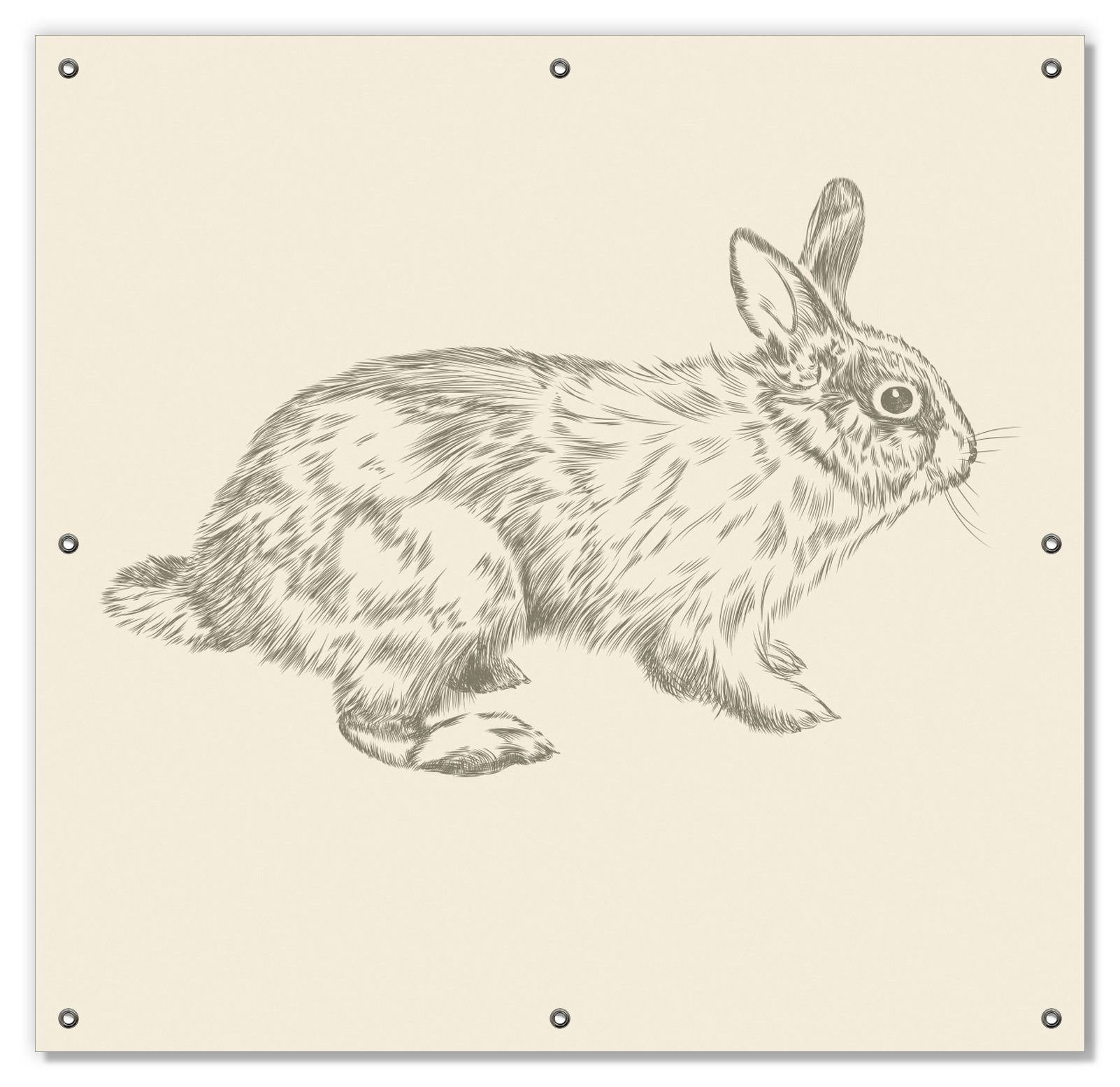 Sonnenschutz Hase als illustrierte Bleistiftzeichnung, Wallario, blickdicht, mit Saugnäpfen, wiederablösbar und wiederverwendbar