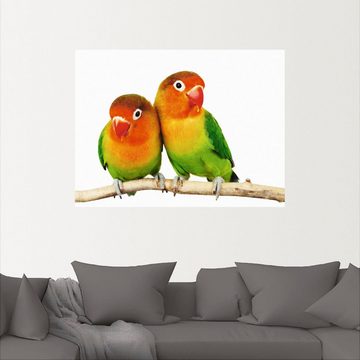 Artland Wandbild Paar von Grauköpfchen - Papageien, Vögel (1 St), als Leinwandbild, Poster, Wandaufkleber in verschied. Größen