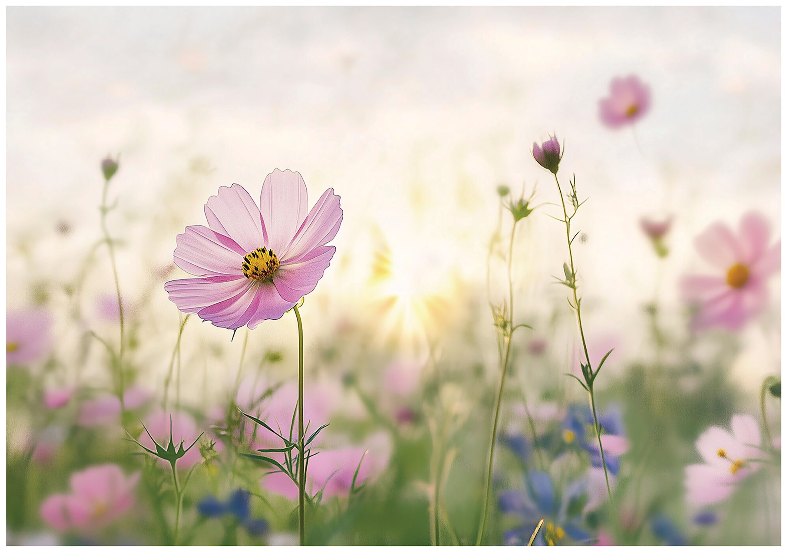 Fototapete Blumen Natur Grün Vlies Tapete Wohnzimmer Schlafzimmer Wandtapete