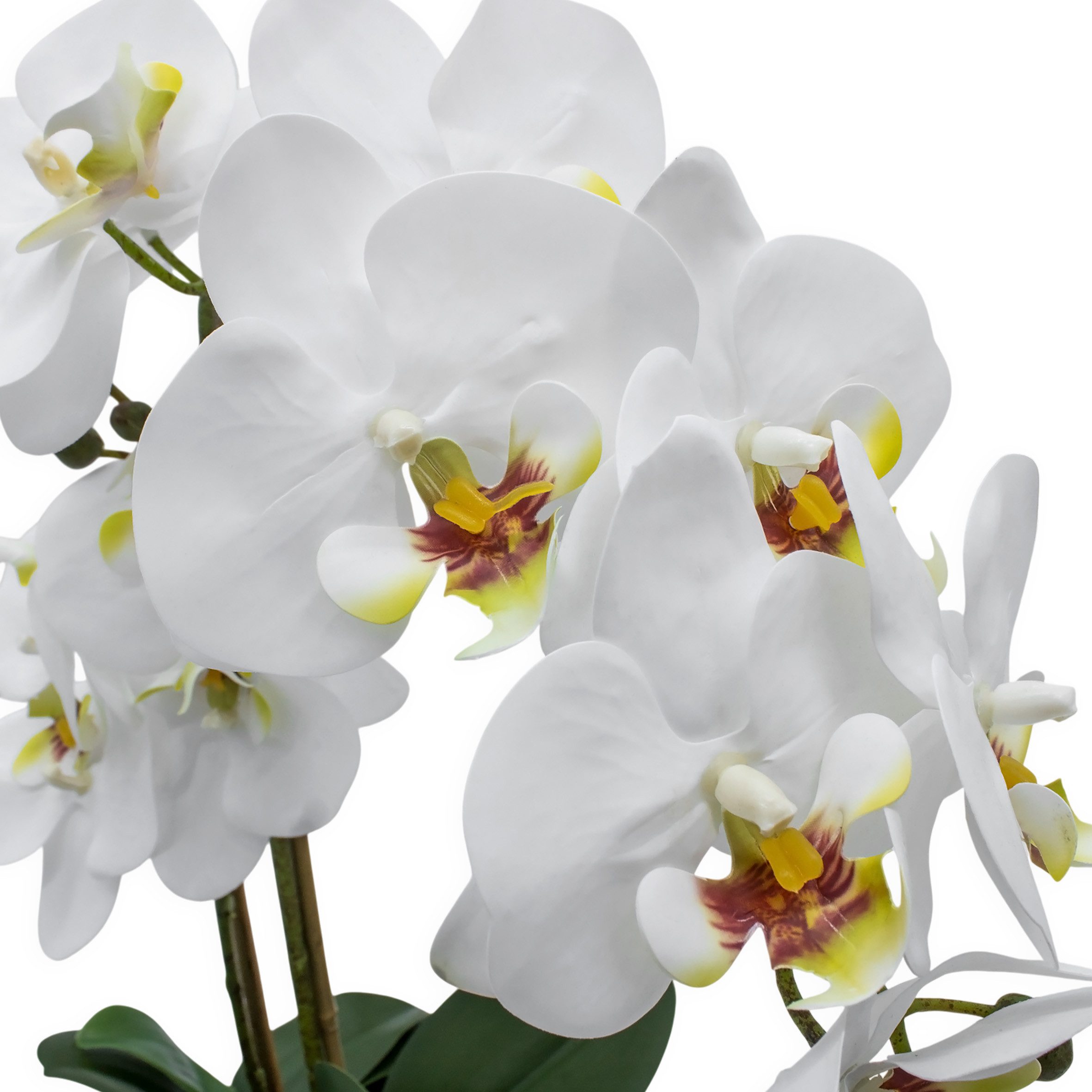 Kunstpflanze Künstliche Real-Touch Orchidee im Blumentopf Orchidee, Spetebo, naturgetreue Nachbildung – Bild 5 von 5