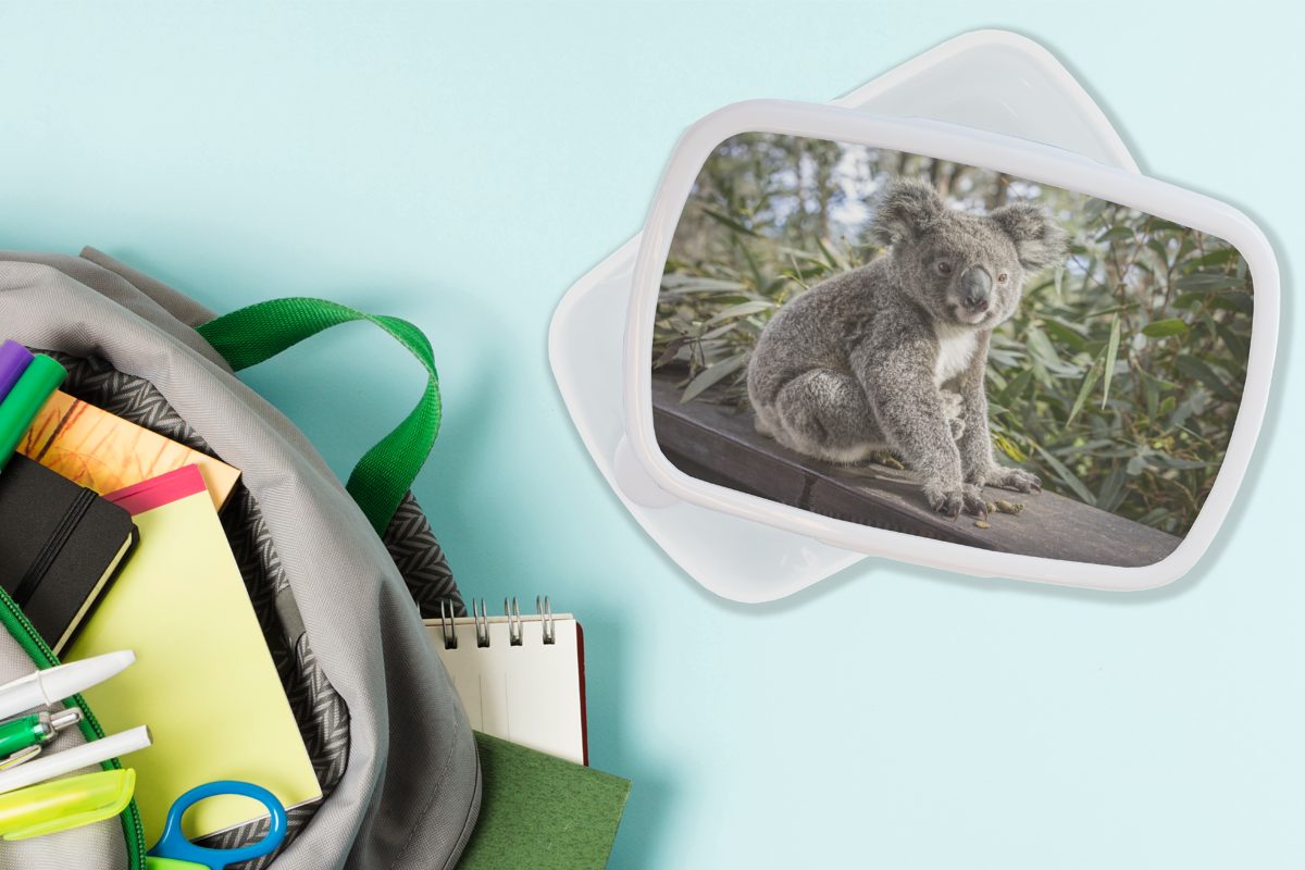 MuchoWow Lunchbox Koala Mädchen Brotbox - für Kinder Pflanzen weiß - Kinder Brotdose, für und Erwachsene, - - (2-tlg), und Kunststoff, - Jungs Mädchen, Jungen Holz