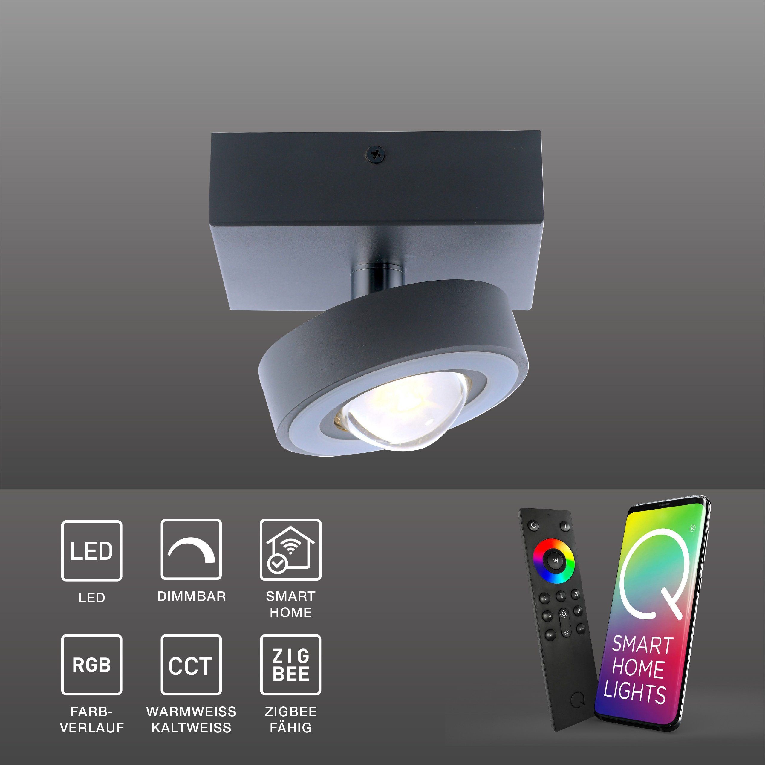 Paul Neuhaus Smart Home, anthrazit Smart Dimmfunktion, Works Q LED-Leuchte Fernbedienung Smarte LED - MIA with CCT-Farbtemperaturregelung, Alexa RGB-Farbwechsel, Deckenspot dimmbar, Deckenleuchte Leuchtmittel, mit Home, Memoryfunktion
