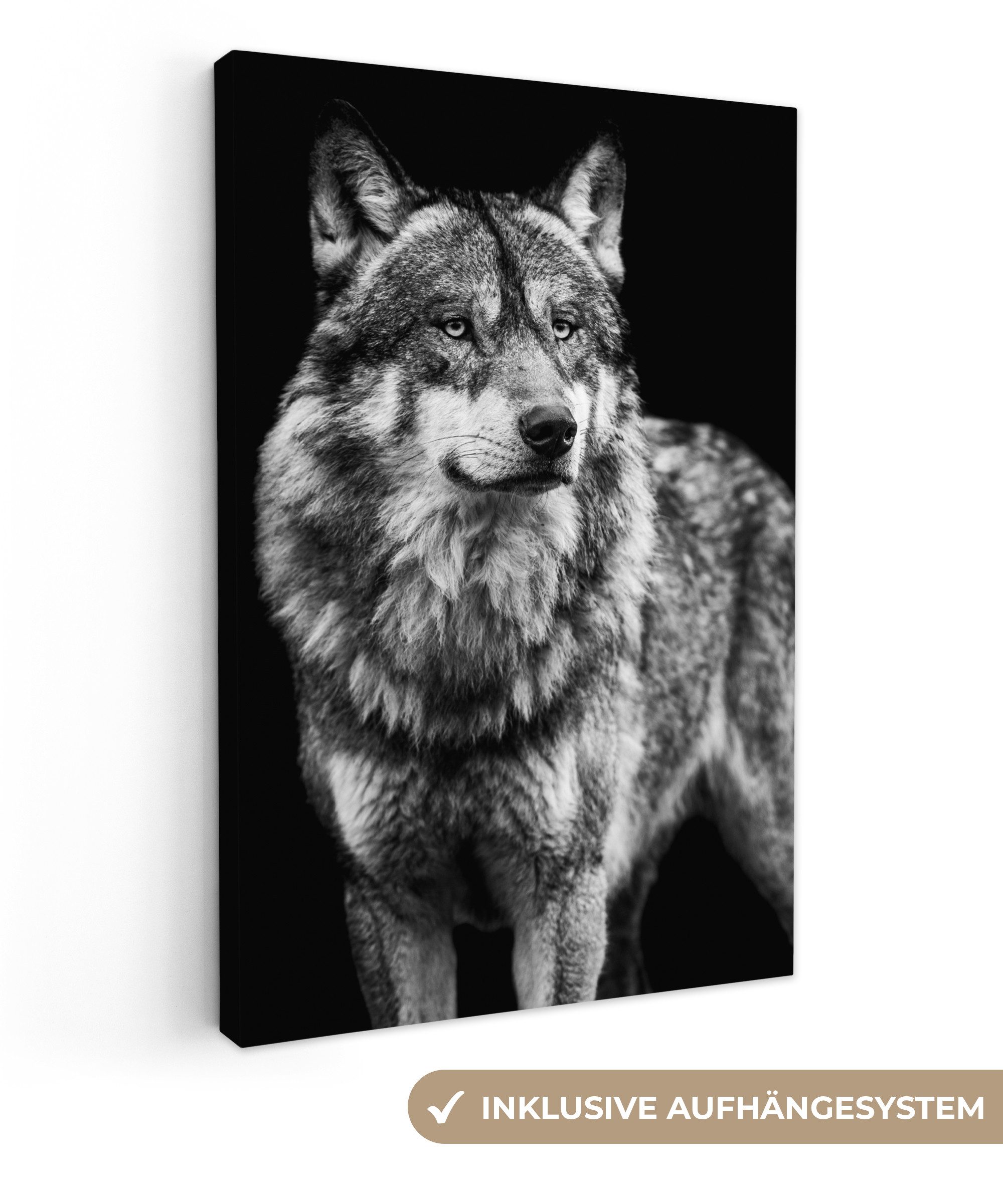 OneMillionCanvasses® Leinwandbild Wolf - Tiere - Wild - Schwarz - Weiß, Fot günstig online kaufen