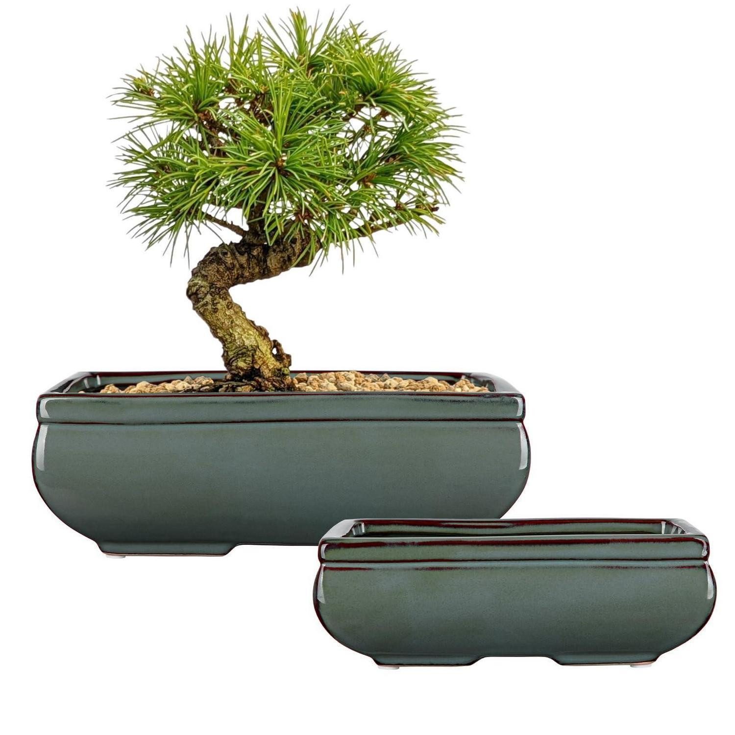 LuxusKollektion Übertopf Bonsai-Topf Keramik Grün 25+19cm (2 St)