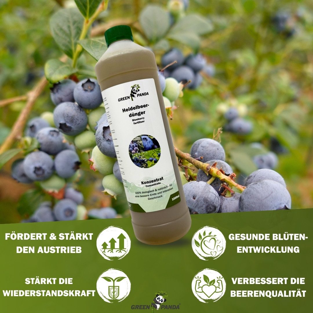 GreenPanda Beerendünger Heidelbeer- & Blaubeerdünger - Verbessert Ernte & Geschmack!, Flasche, 1-St., 1 Liter Pflanzenstärkungsmittel! – Bild 2 von 5