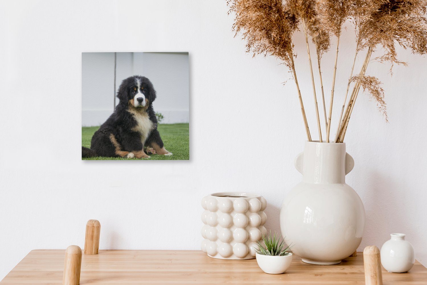 Bilder Super Sennenhund Welpe, OneMillionCanvasses® Wohnzimmer (1 Berner Schlafzimmer süßer St), Leinwand Leinwandbild für
