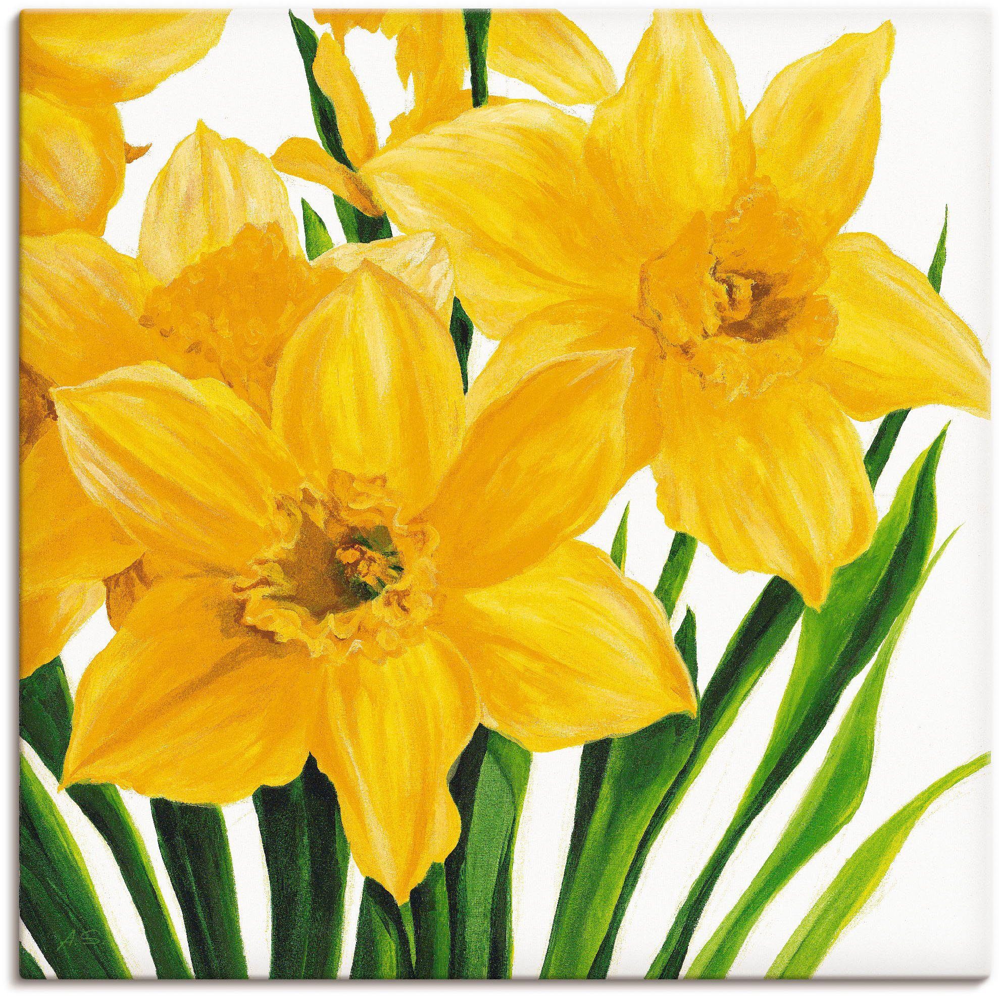 Artland Leinwandbild Gelbe Narzissen, Blumen (1 St), auf Holzrahmen gespannt