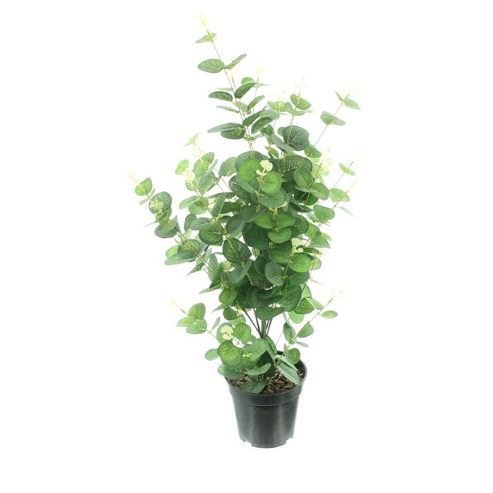 Künstliche Zimmerpflanze Topfpflanze Eukalyptus Kunstpflanze Zimmerpflanze  Deko Pflanze 65 H, Home-trends24.de, Höhe 65 cm
