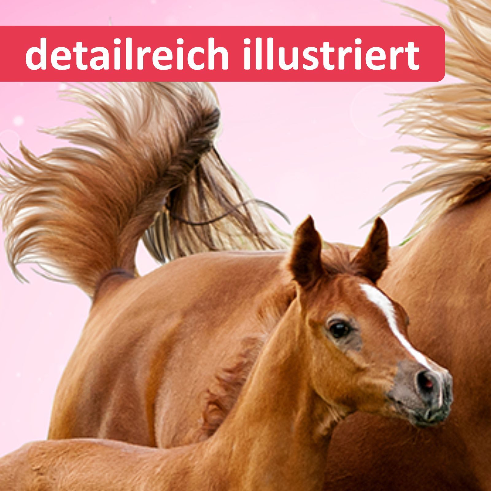 nikima Platzset stabiles Vinyl Tischset Pferde günstig online kaufen