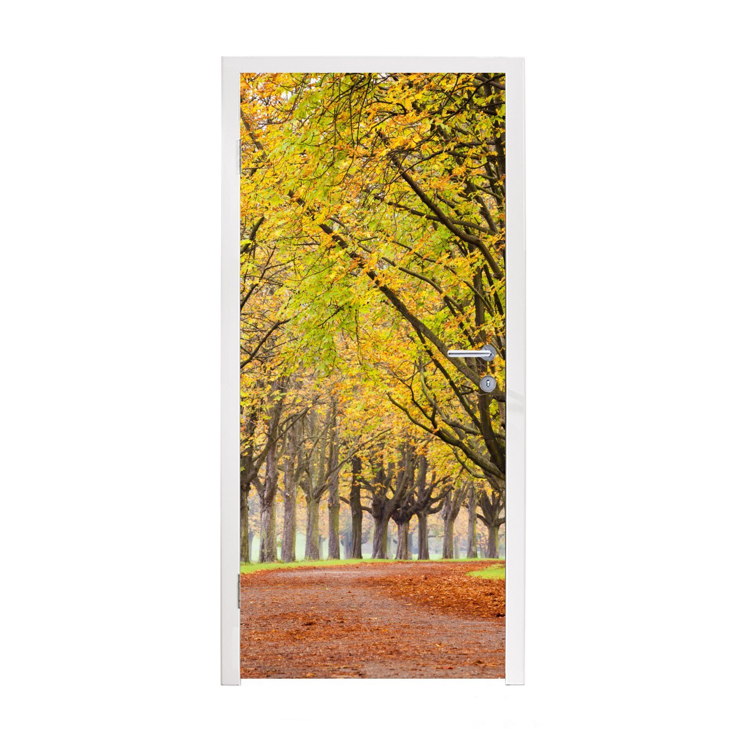 MuchoWow Türtapete St), Matt, Kastanienbäume (1 Herbst, im Türaufkleber, für 75x205 Tür, cm bedruckt, Fototapete