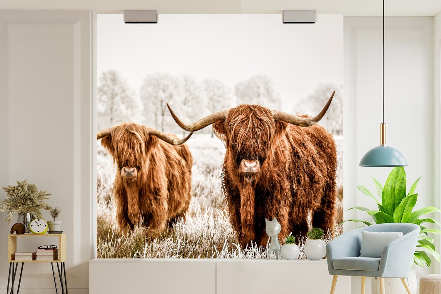 Fototapete Schottischer (4 Tiere, Highlander Schlafzimmer Wohnzimmer - bedruckt, St), Fototapete für Vliestapete Kuh - MuchoWow Matt, Küche,