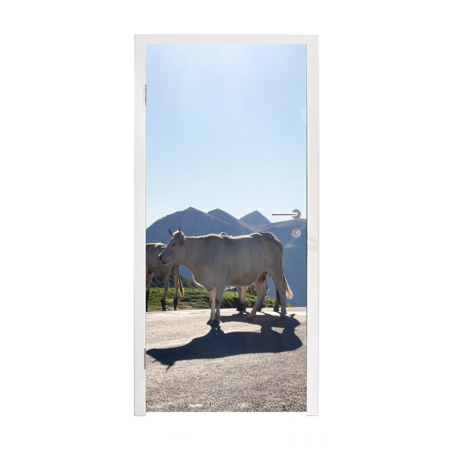MuchoWow Türtapete Schottische Highlander - Licht - Berge - Natur, Matt, bedruckt, (1 St), Fototapete für Tür, Türaufkleber, 75x205 cm