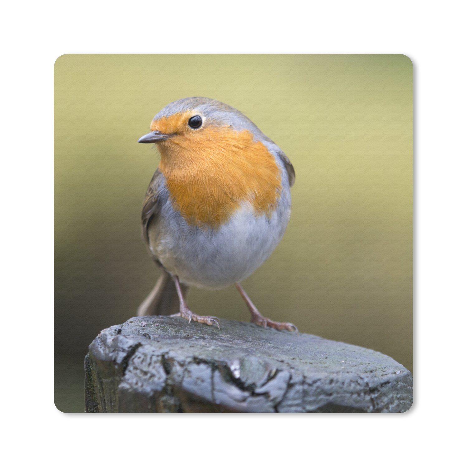 MuchoWow Mauspad Pfahl - Rotkehlchen - Natur (1-St), Mousepad, Schreibtisch Zubehör, Deko, 20x20 cm