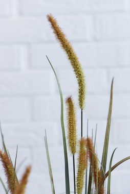 Kunstpflanze Schilfgras im Topf Gras künstlich Kunstpflanze POMPIDU, VIVANNO, Höhe 105 cm